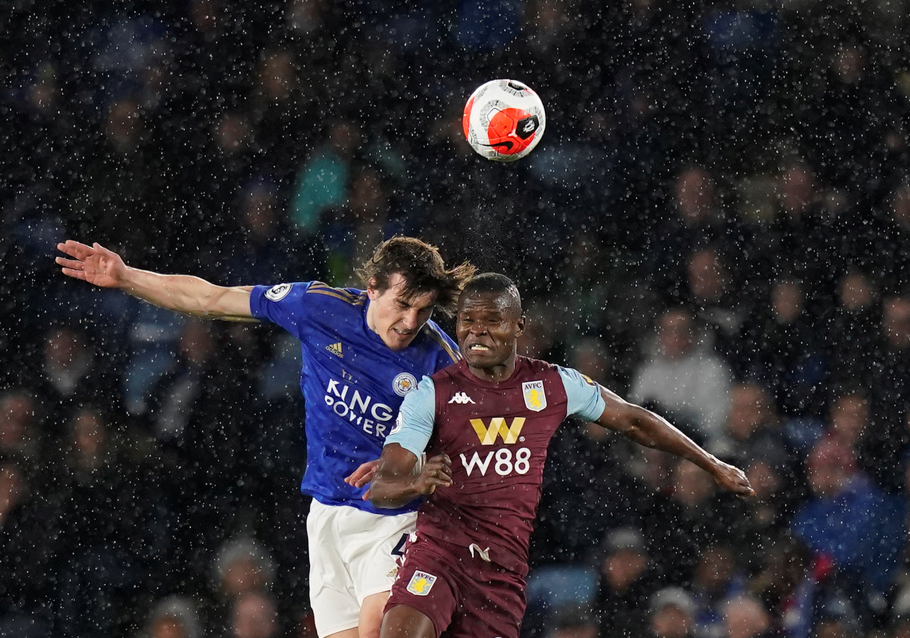 的多样性已 的多样性已